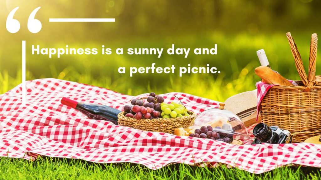 140+ Inspirational Picnic Quotes | Picnic Times