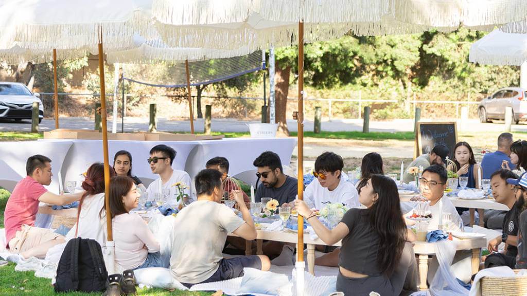 group picnic meal