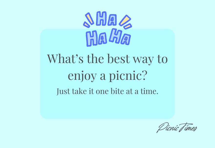 Dad Jokes for a Picnic