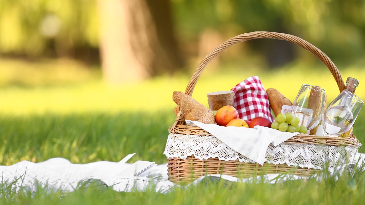 Picnic Basket Essentials What to Pack for a Perfect Outdoor Meal