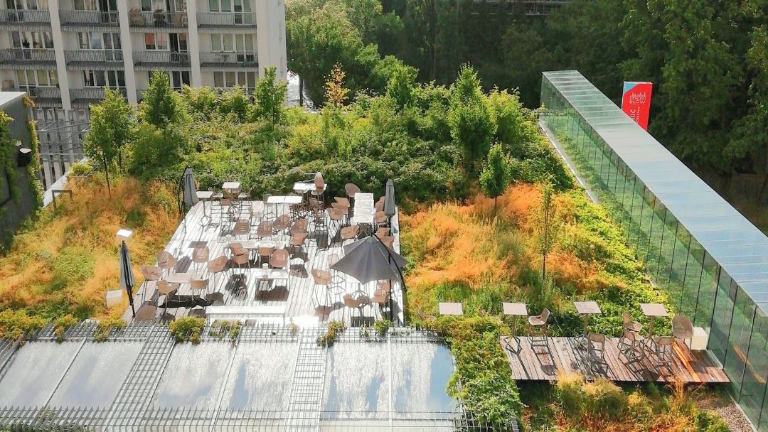 Rooftop Gardens