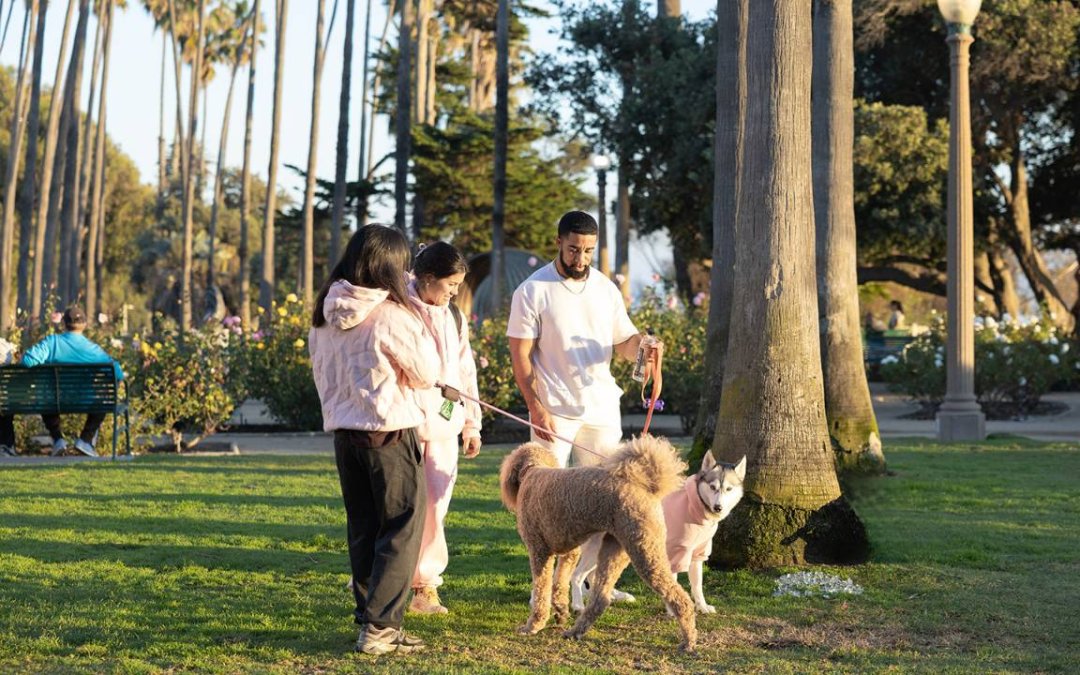 25 Best Outdoor Activities that Boost Fun and Energy