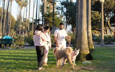 25 Best Outdoor Activities that Boost Fun and Energy