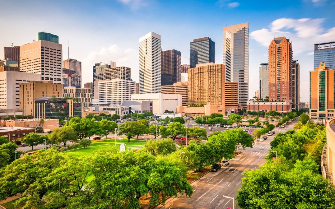Top 5 Luxury Picnic Companies in Houston