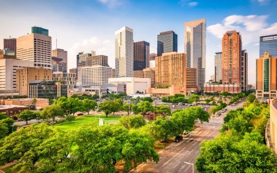 Top 5 Luxury Picnic Companies in Houston