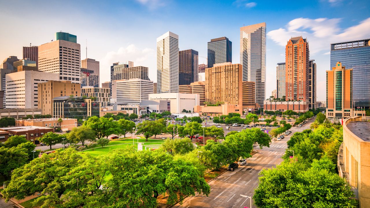 Luxury Picnic Companies in Houston