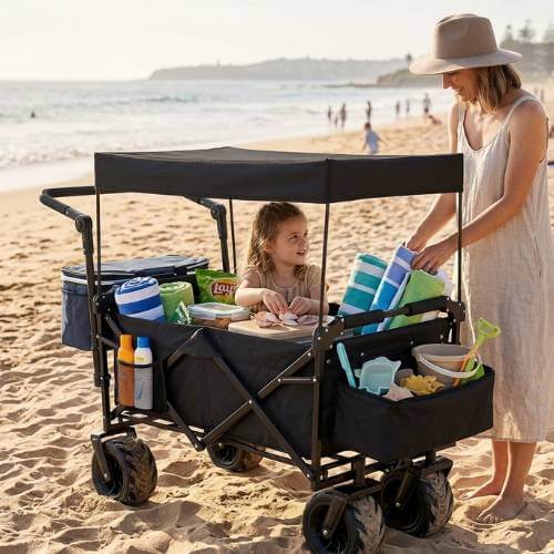 all terrain beach wagon for kids