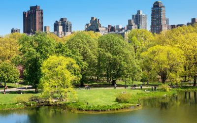 Best Luxury Picnic Companies in New York City