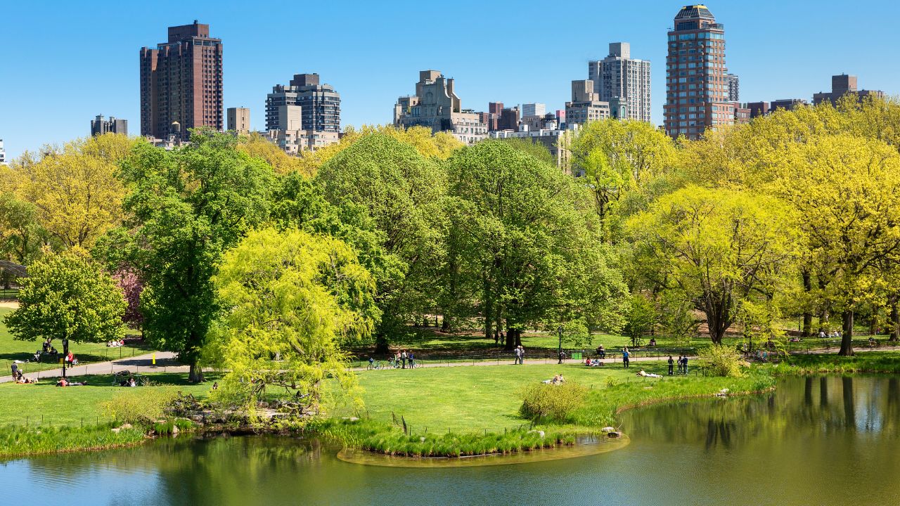 best picnic companies in new york city
