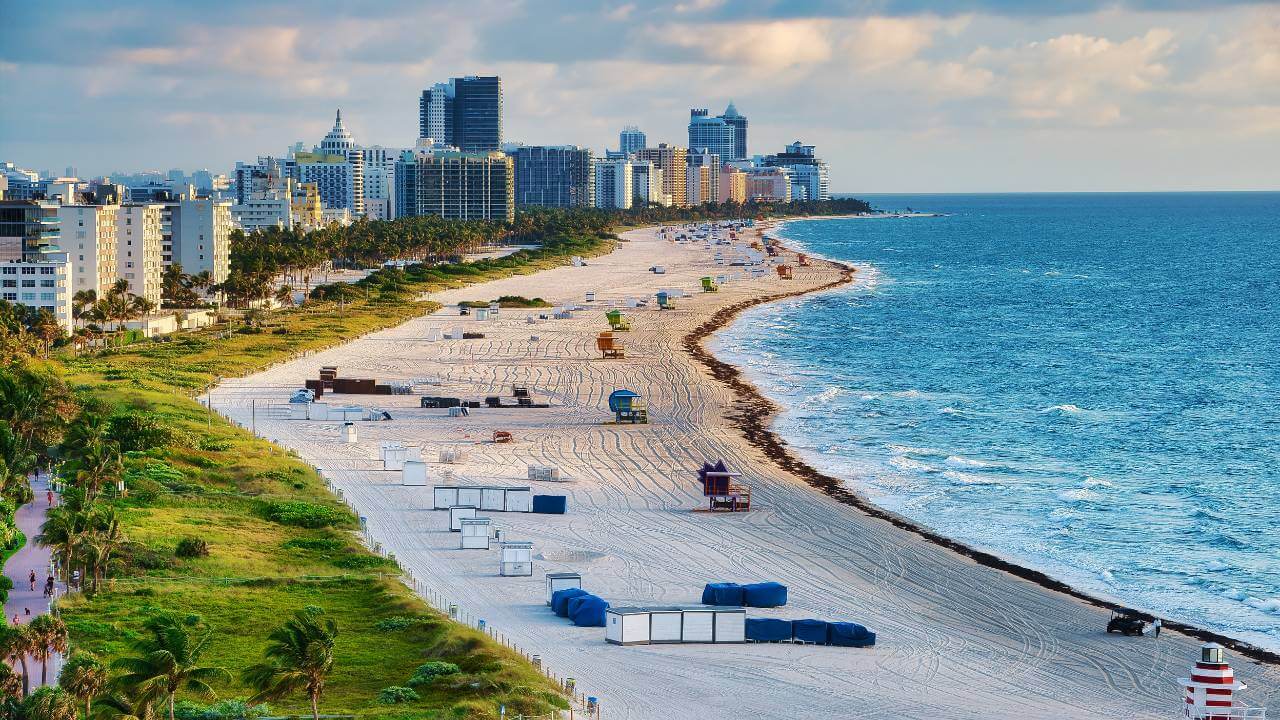 picnic companies in miami picnic companies in miami