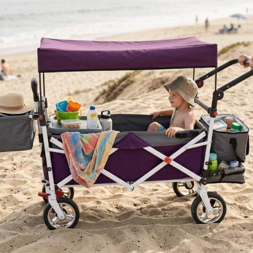 stroller wagon for kids at beach