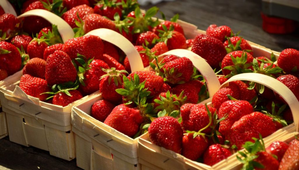 Fresh strawberries in season during spring