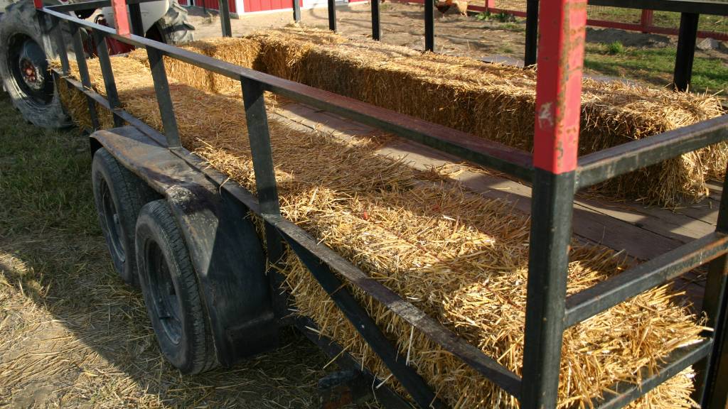 hayride date