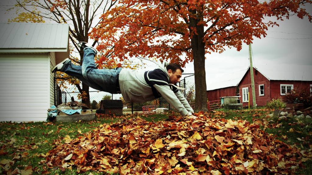 jumping in leaves