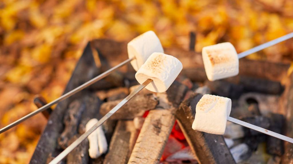 roasting marshmallows