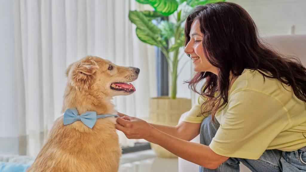 woman pet business