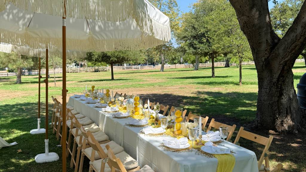 elegant park picnic arrangement