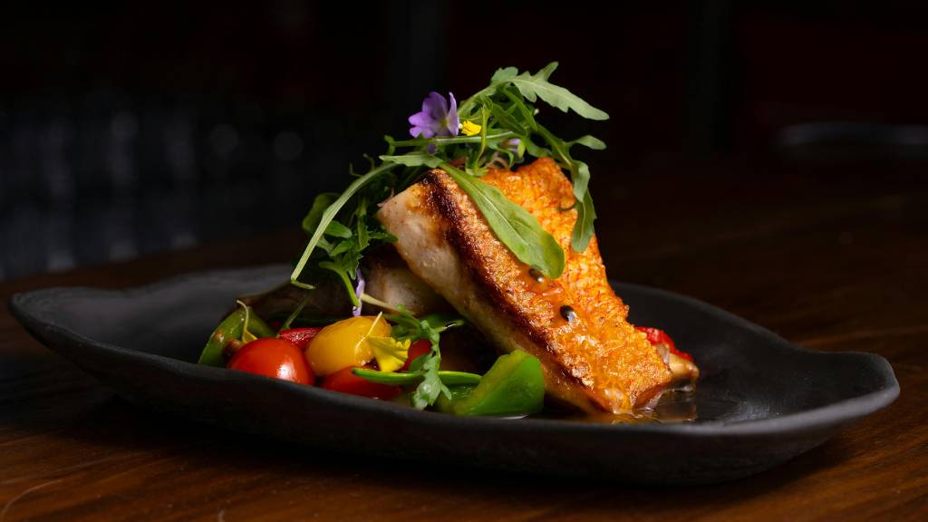 fine dining salmon plating technique