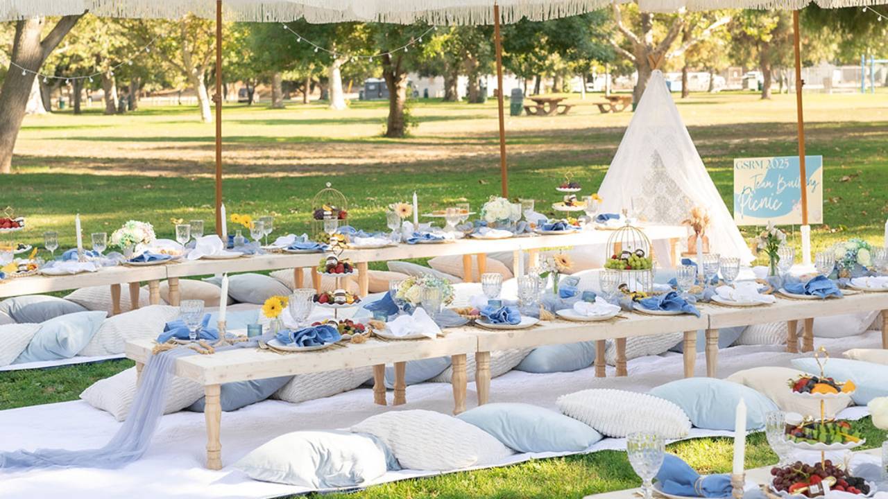 outdoor luxury picnic setup