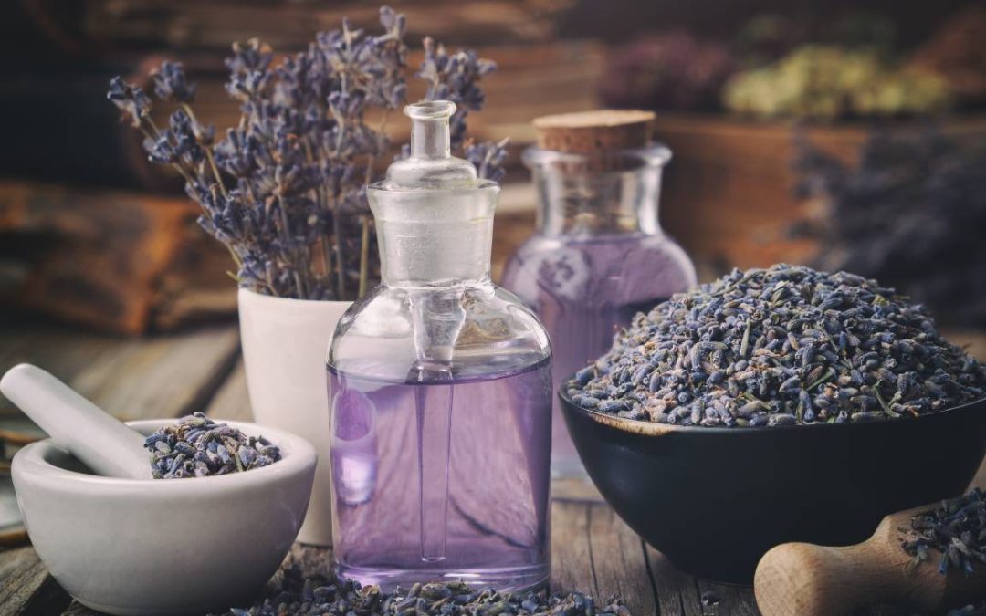 Why Functional Beverages Are the Future of Everyday Wellness