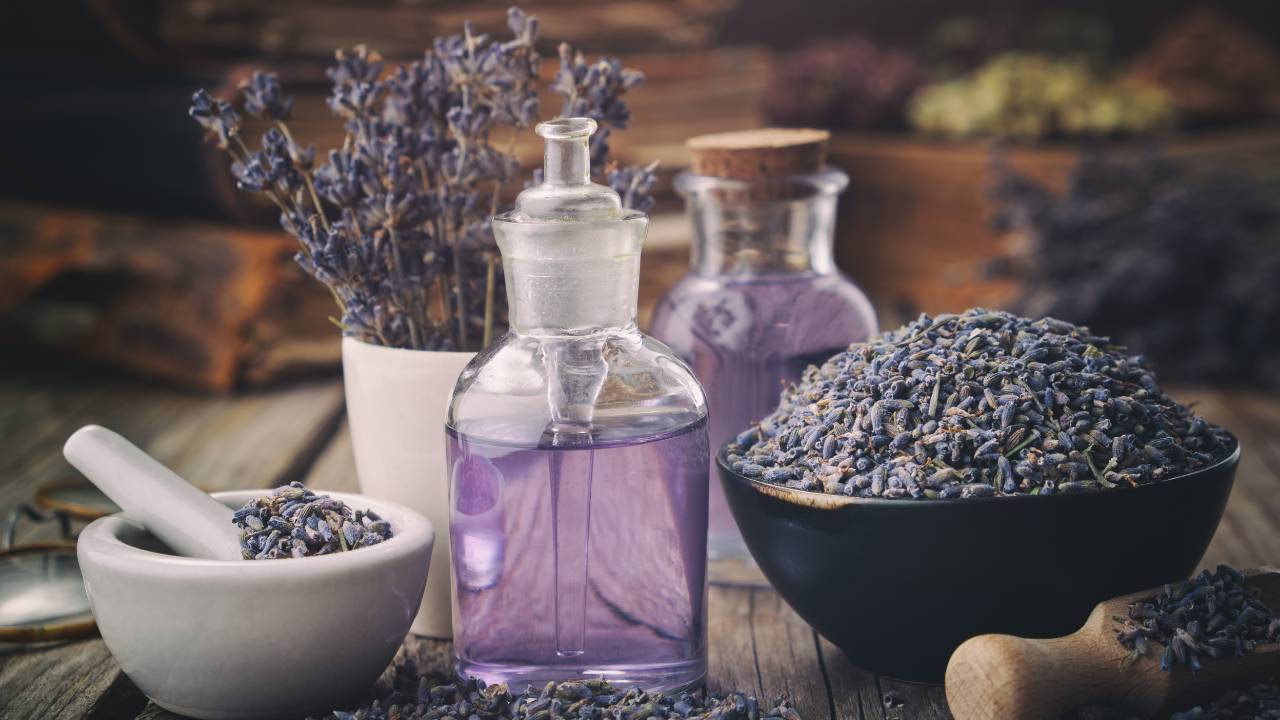 functional-beverage-lavender-calming-elixir lavender calming elixir