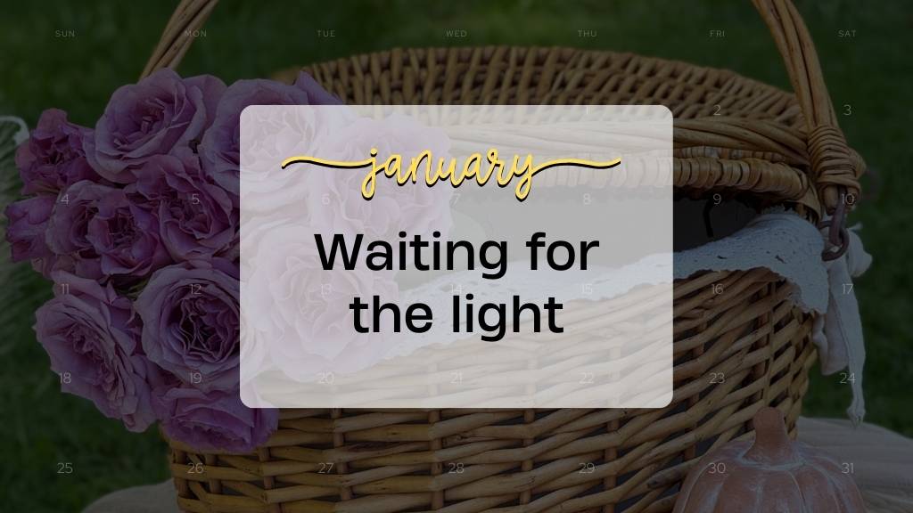 january quote waiting for the light