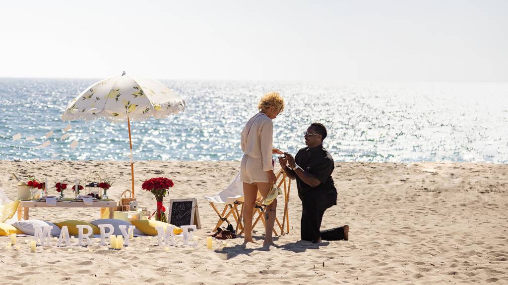 picnic engagement photoshoot proposal moment