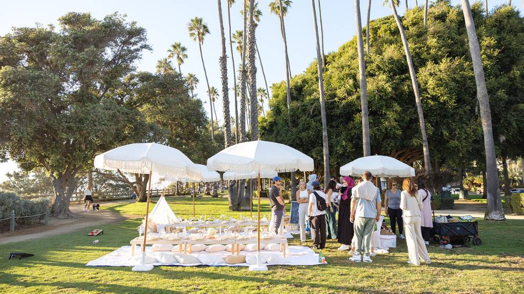 wide shot park picnic photoshoot location