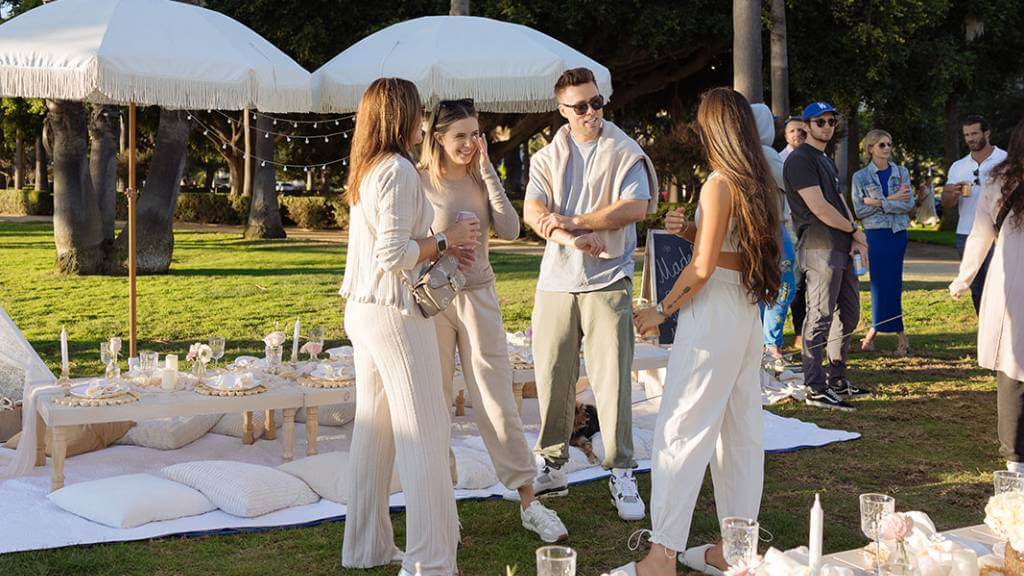 luxury picnic gathering