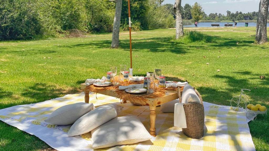 picnic date outdoor